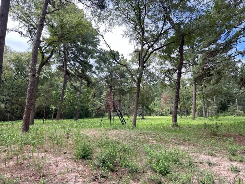 2 Fm 362 Road Waller, TX 77484