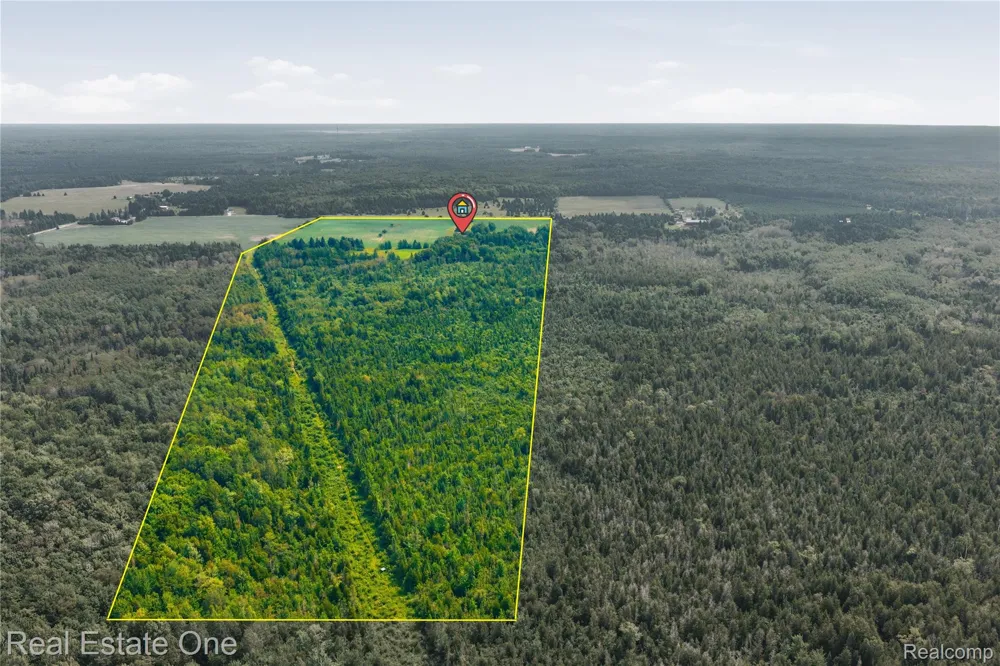 2643 Gulliver Road Doyle Township, MI 49840