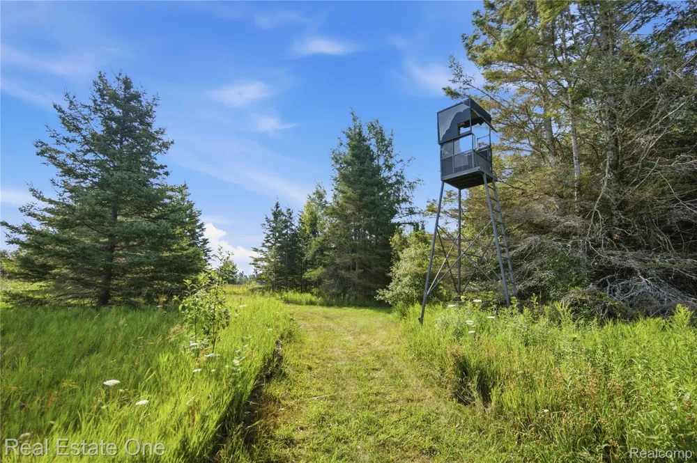 2643 Gulliver Road Doyle Township, MI 49840