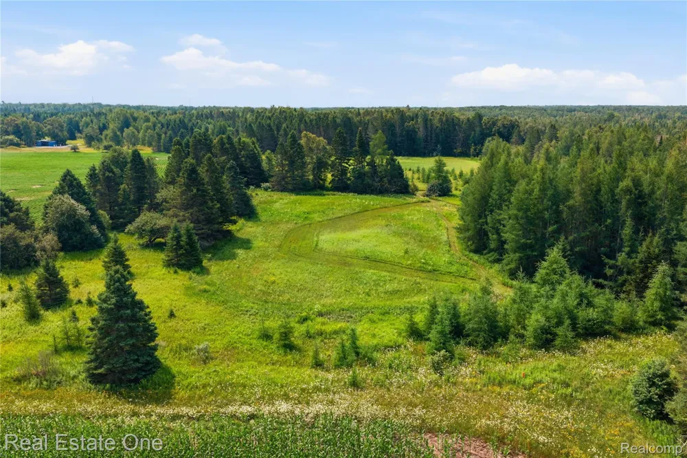 2643 Gulliver Road Doyle Township, MI 49840