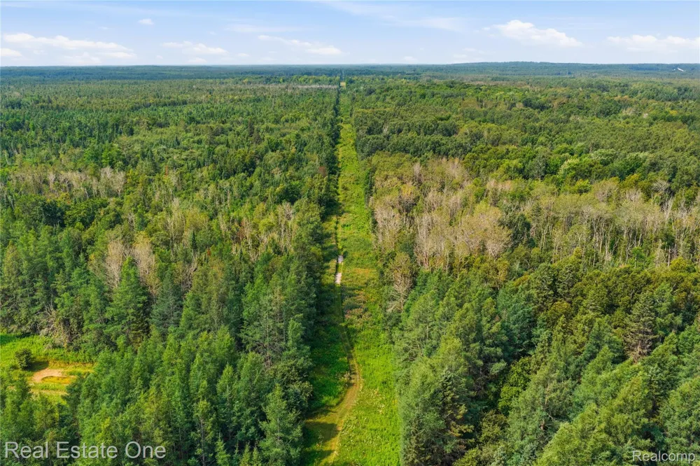 2643 Gulliver Road Doyle Township, MI 49840