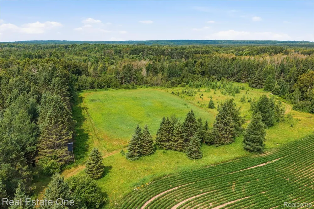 2643 Gulliver Road Doyle Township, MI 49840