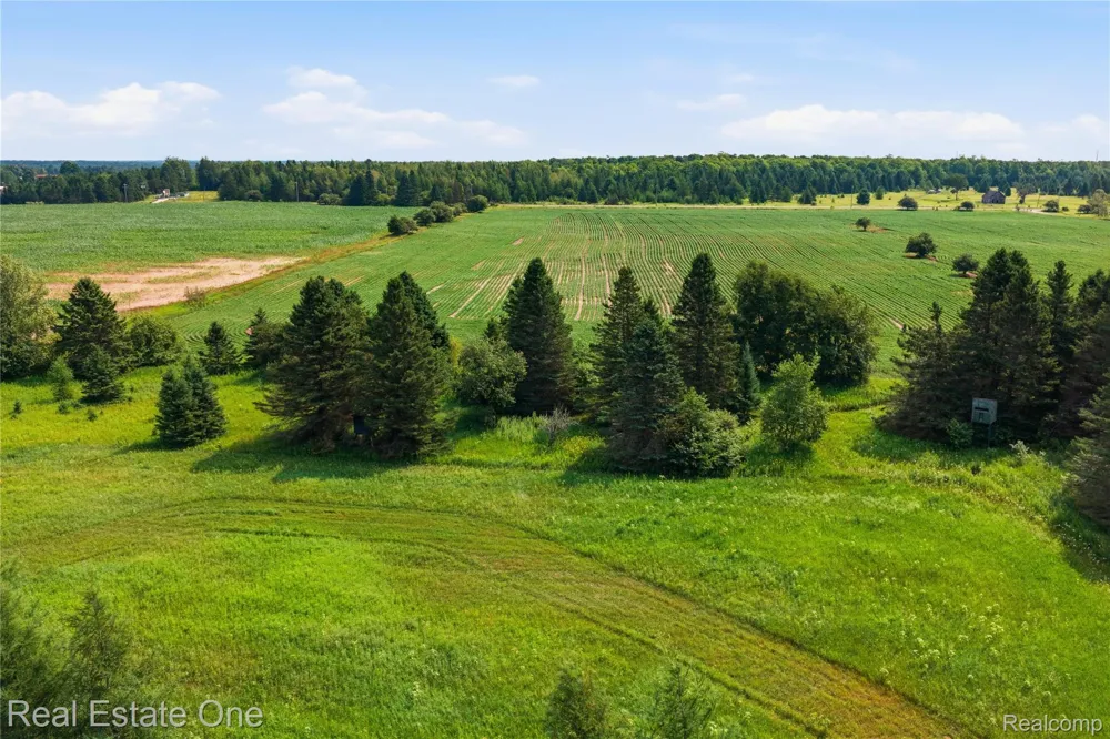 2643 Gulliver Road Doyle Township, MI 49840