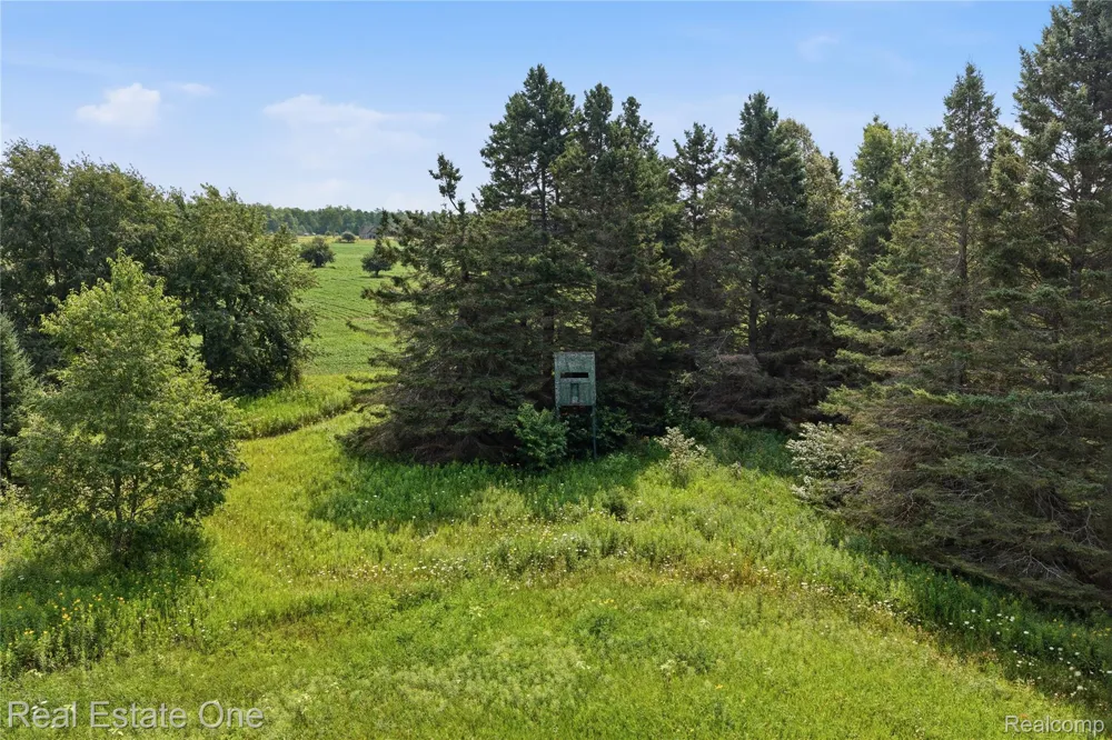 2643 Gulliver Road Doyle Township, MI 49840
