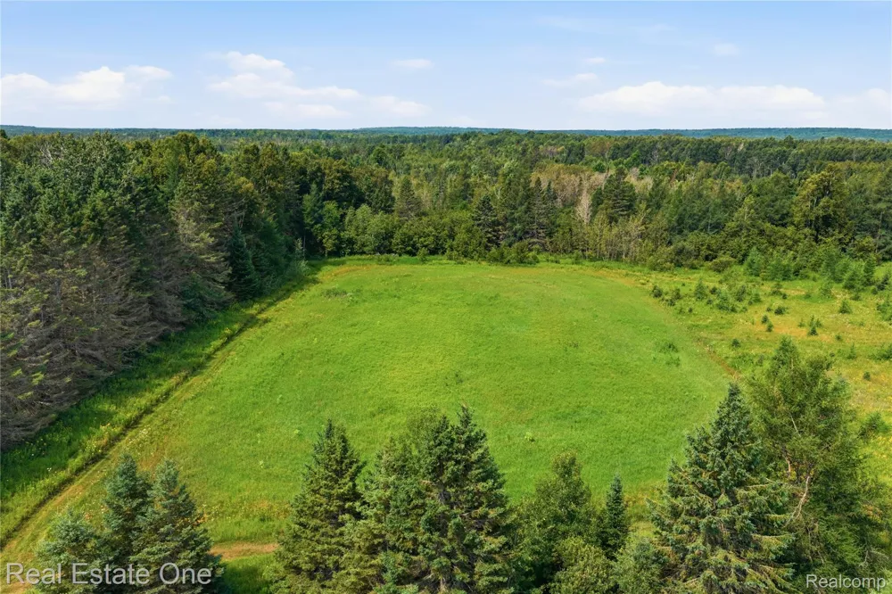 2643 Gulliver Road Doyle Township, MI 49840