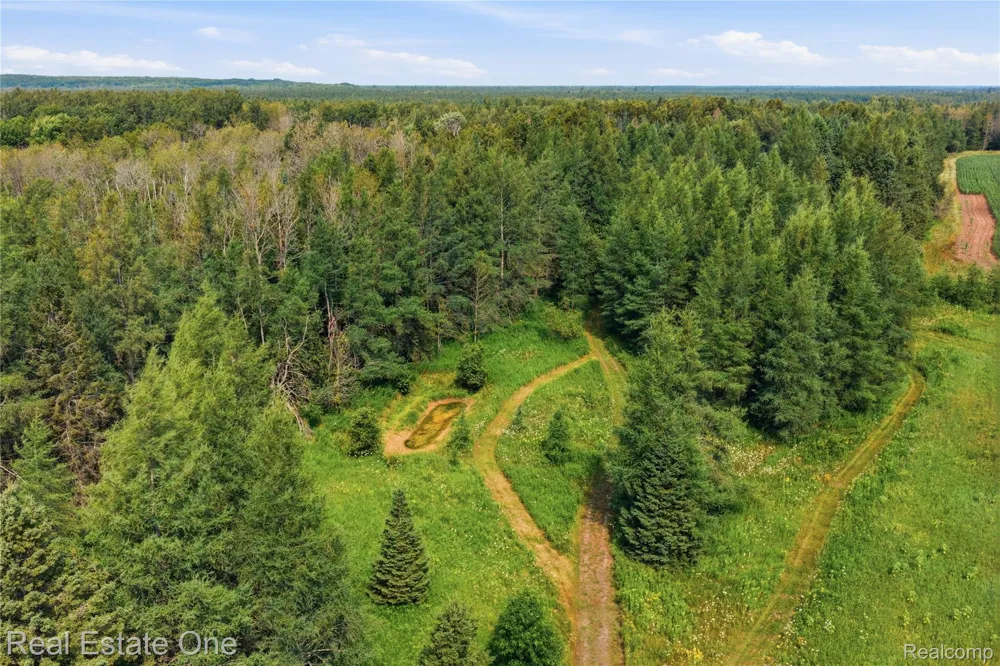 2643 Gulliver Road Doyle Township, MI 49840