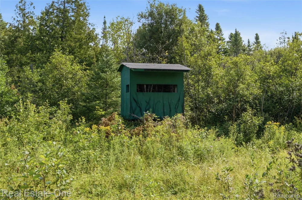 2643 Gulliver Road Doyle Township, MI 49840