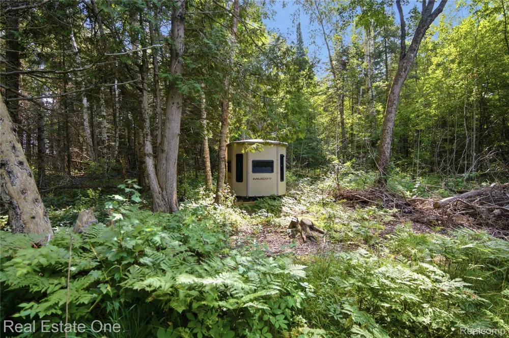 2643 Gulliver Road Doyle Township, MI 49840