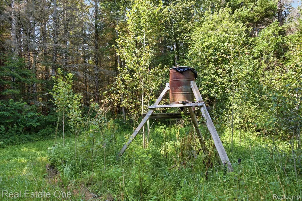 2643 Gulliver Road Doyle Township, MI 49840
