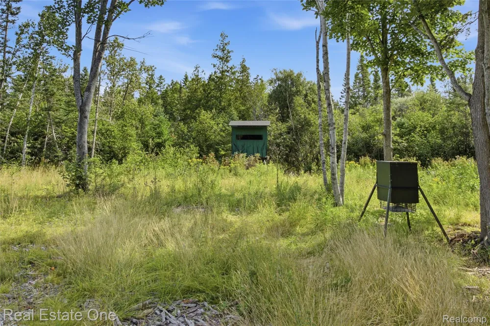 2643 Gulliver Road Doyle Township, MI 49840