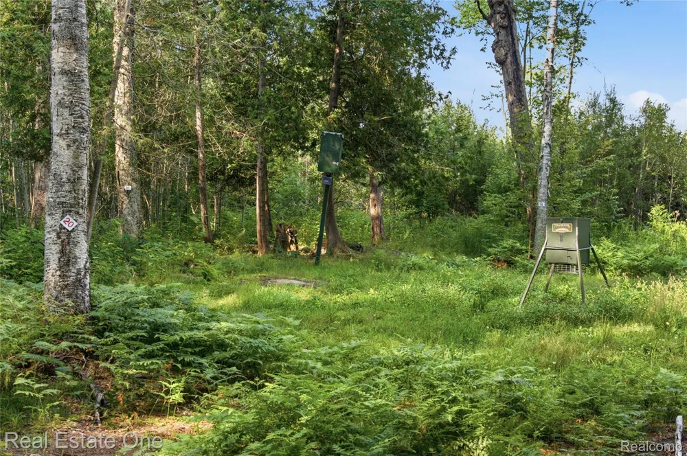 2643 Gulliver Road Doyle Township, MI 49840