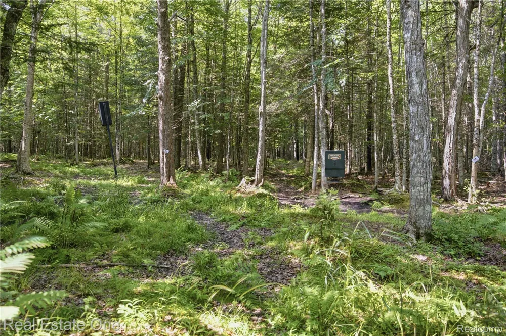 2643 Gulliver Road Doyle Township, MI 49840