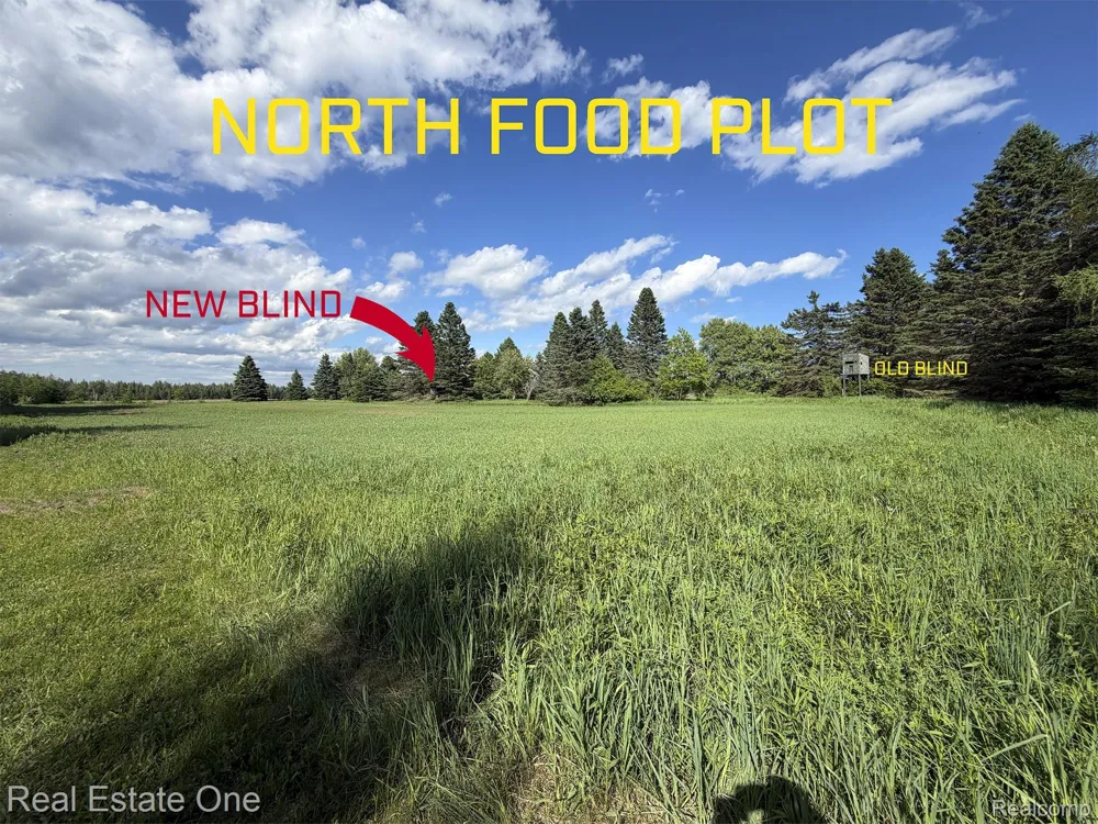2643 Gulliver Road Doyle Township, MI 49840