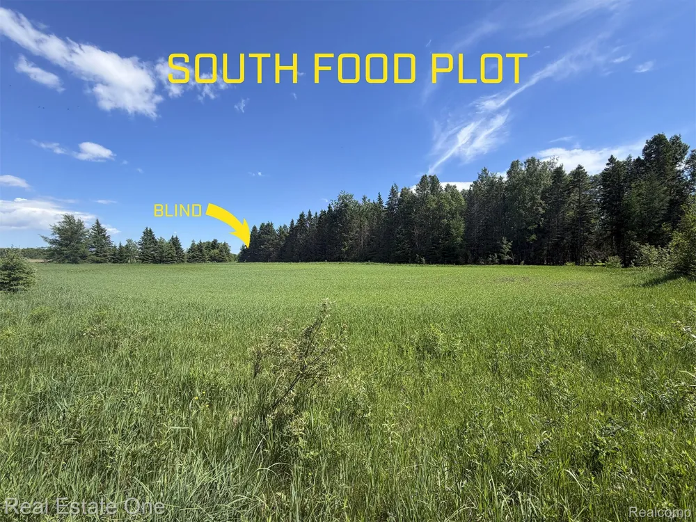 2643 Gulliver Road Doyle Township, MI 49840