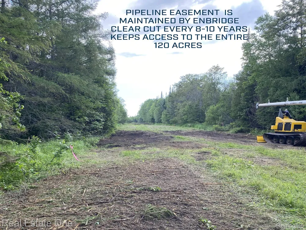 2643 Gulliver Road Doyle Township, MI 49840