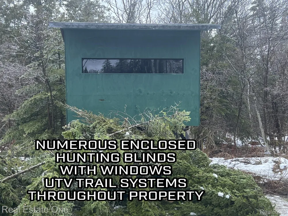 2643 Gulliver Road Doyle Township, MI 49840