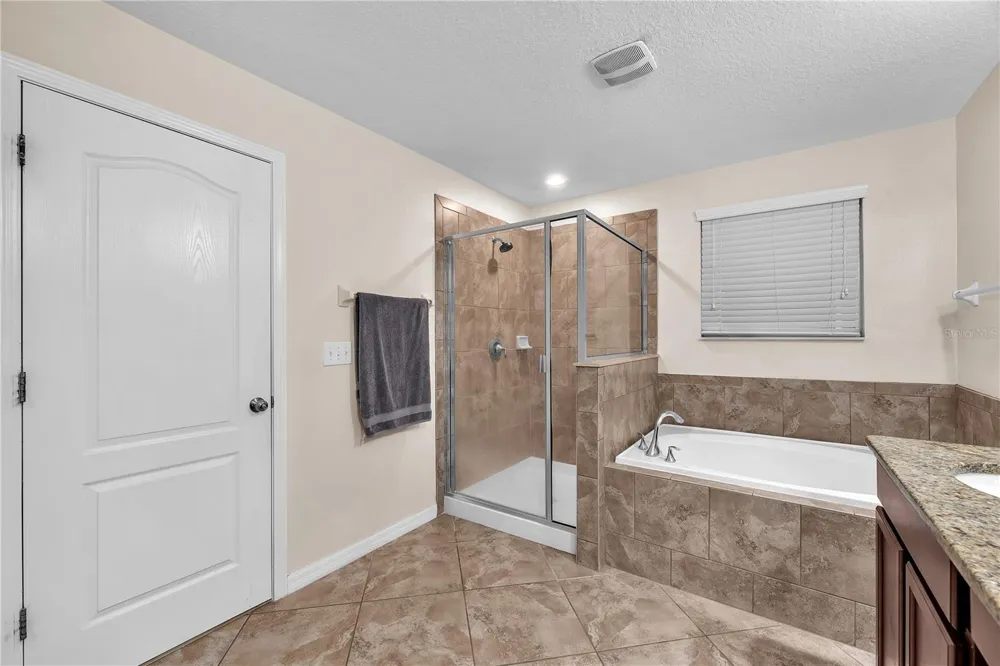 10921 RAINBOW PYRITE DRIVE Wimauma, FL 33598