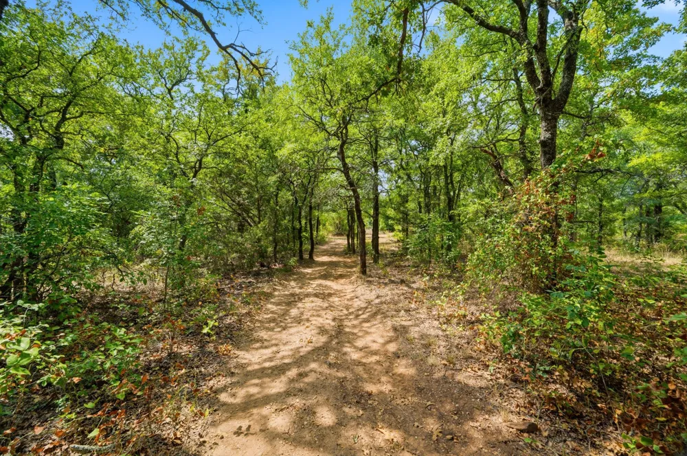 1226 County Road 1990 Chico, TX 76431