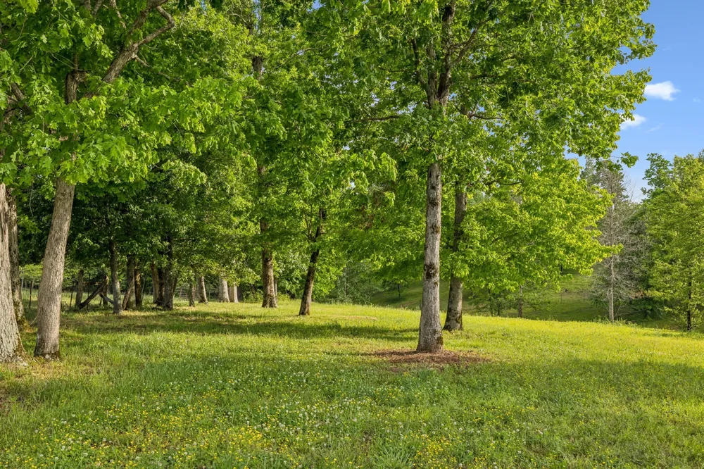 7899 W Lick Creek Rd Primm Springs, TN 38476