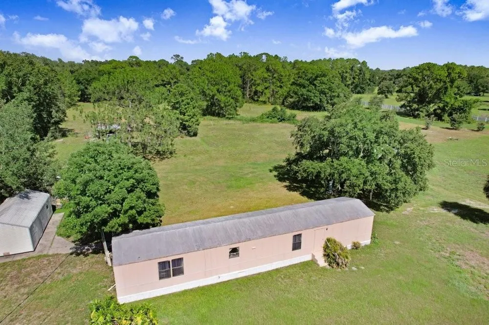 3320 TINA MARIE DRIVE Wesley Chapel, FL 33543