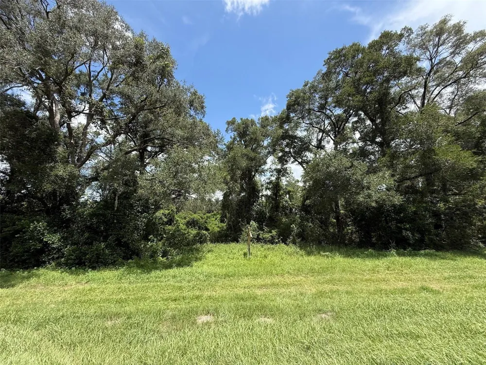 US HWY 27 Fort White, FL 32038