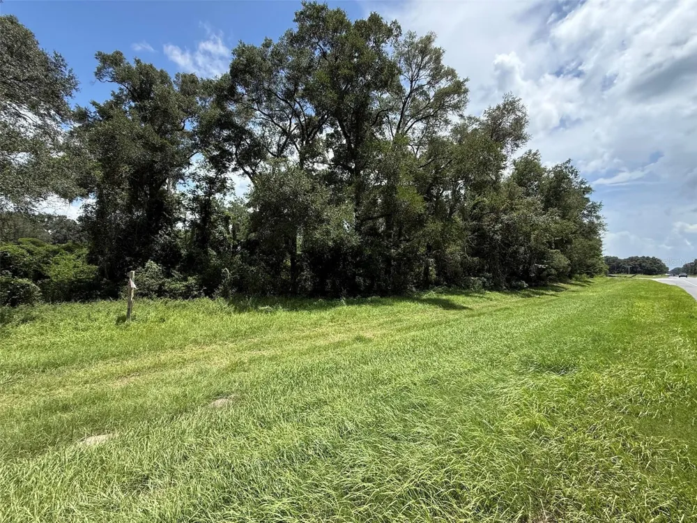 US HWY 27 Fort White, FL 32038