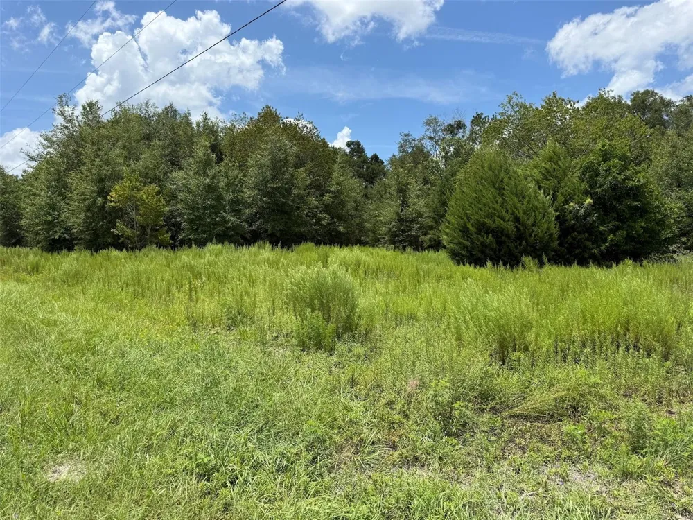 US HWY 27 Fort White, FL 32038