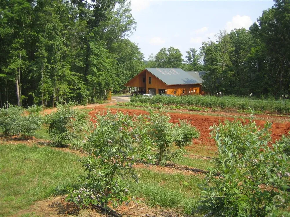 464 Poole Road Ball Ground, GA 30107