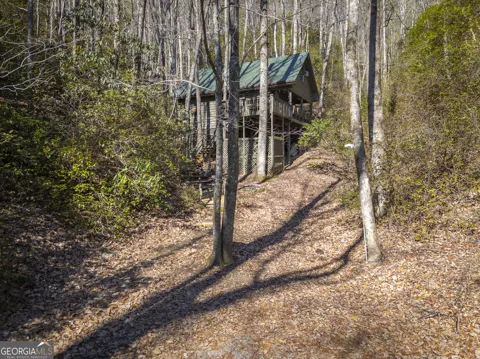 85 Squirrel Hollow DR