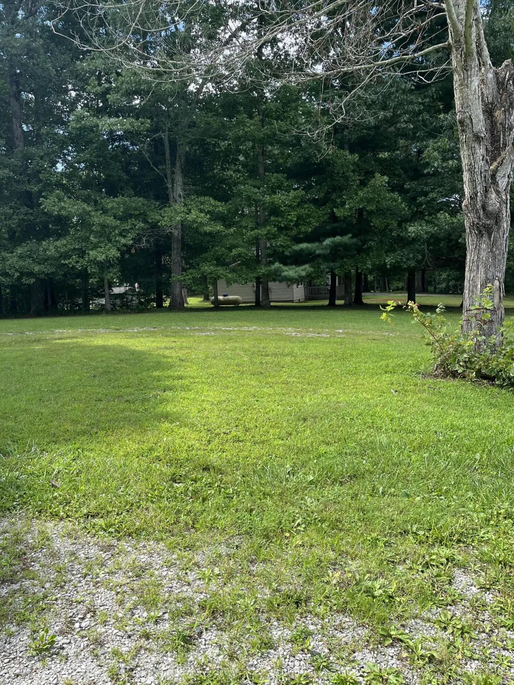 373 S Partin Circle S Coalmont, TN 37313