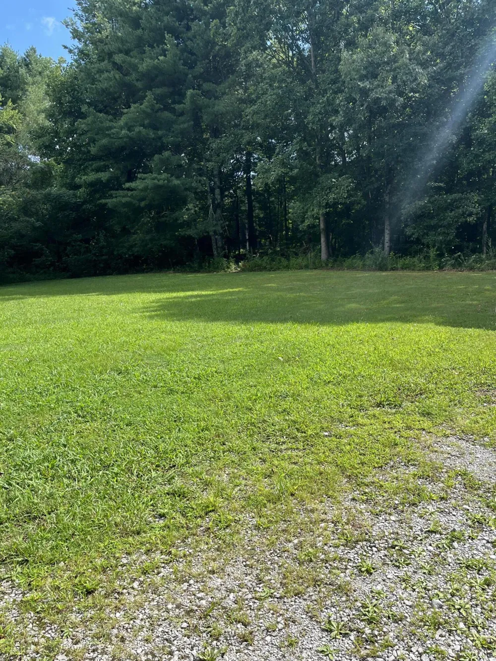 373 S Partin Circle S Coalmont, TN 37313