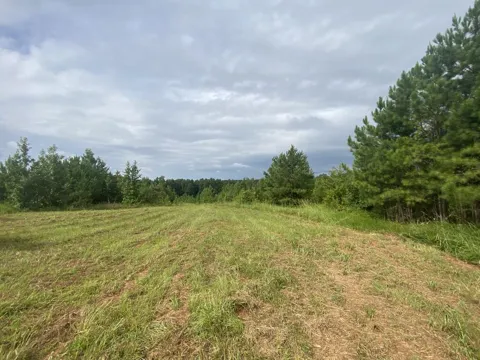 437 Acres Brown Creek Road