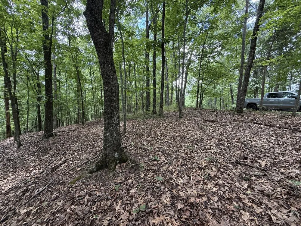 Lot 1065 Mayfield Lane Ranger, GA 30734