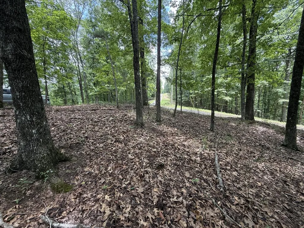 Lot 1065 Mayfield Lane Ranger, GA 30734