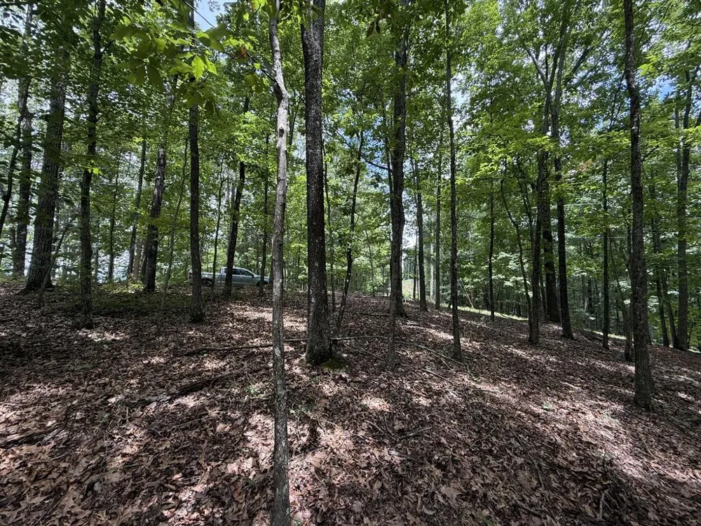 Lot 1065 Mayfield Lane Ranger, GA 30734