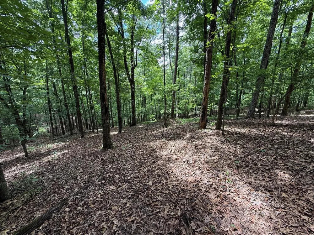 Lot 1065 Mayfield Lane Ranger, GA 30734