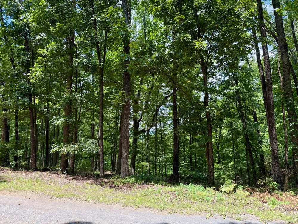 Lot 1065 Mayfield Lane Ranger, GA 30734