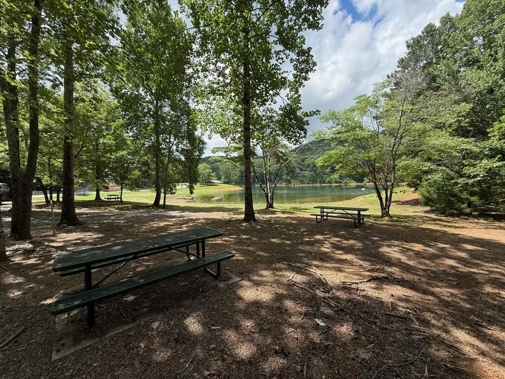 Lot 1065 Mayfield Lane Ranger, GA 30734