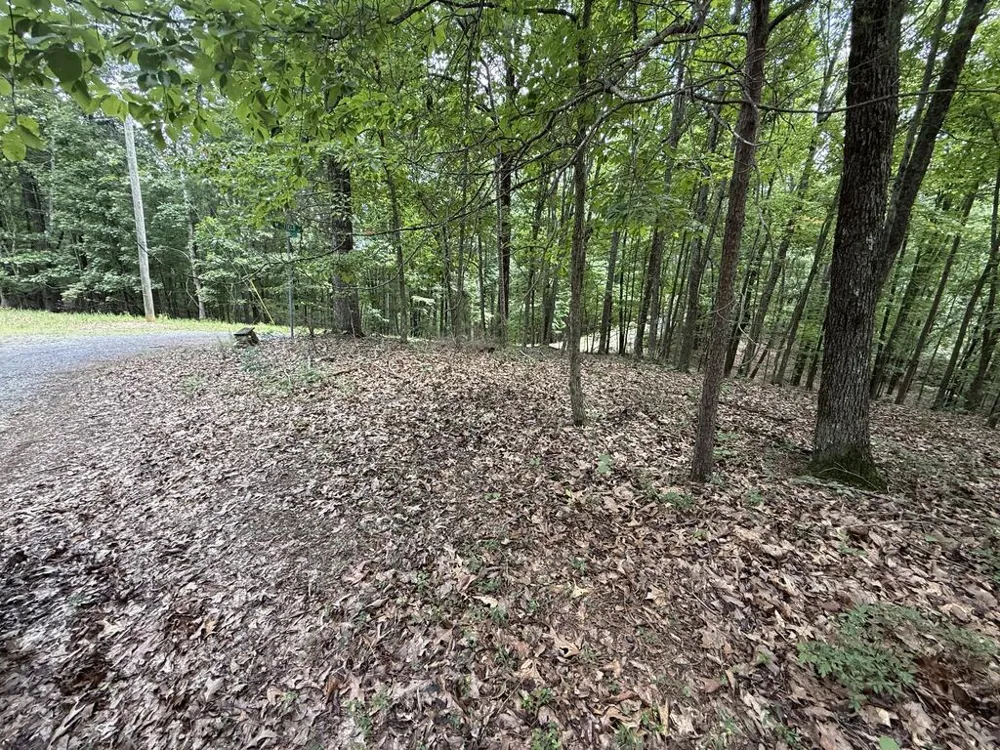 Lot 1065 Mayfield Lane Ranger, GA 30734