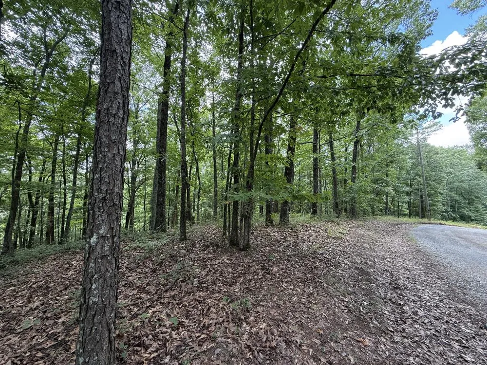 Lot 1065 Mayfield Lane Ranger, GA 30734