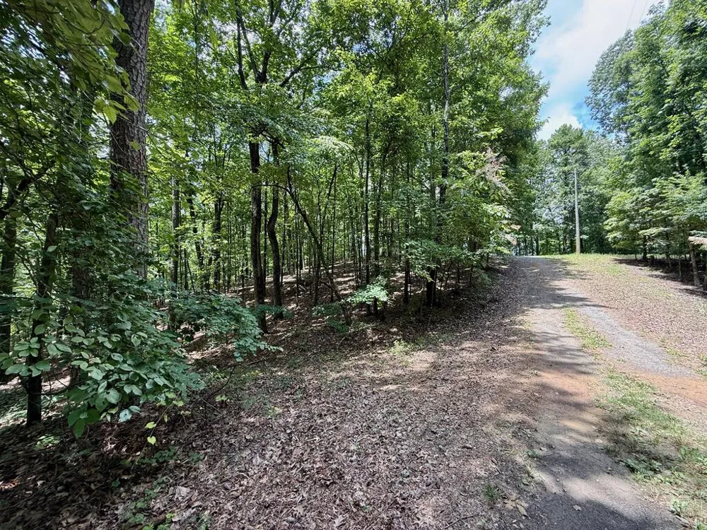 Lot 1065 Mayfield Lane Ranger, GA 30734