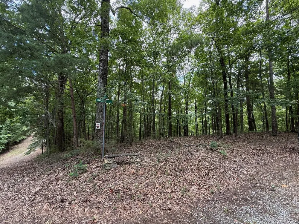 Lot 1065 Mayfield Lane Ranger, GA 30734