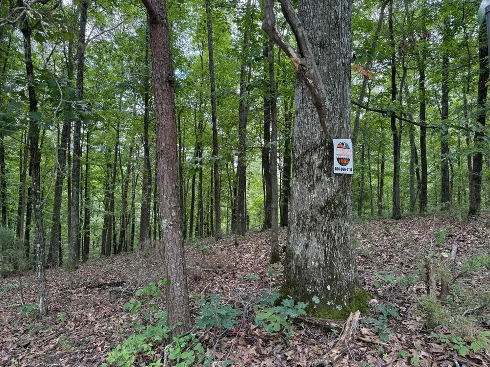 Lot 1065 Mayfield Lane Ranger, GA 30734