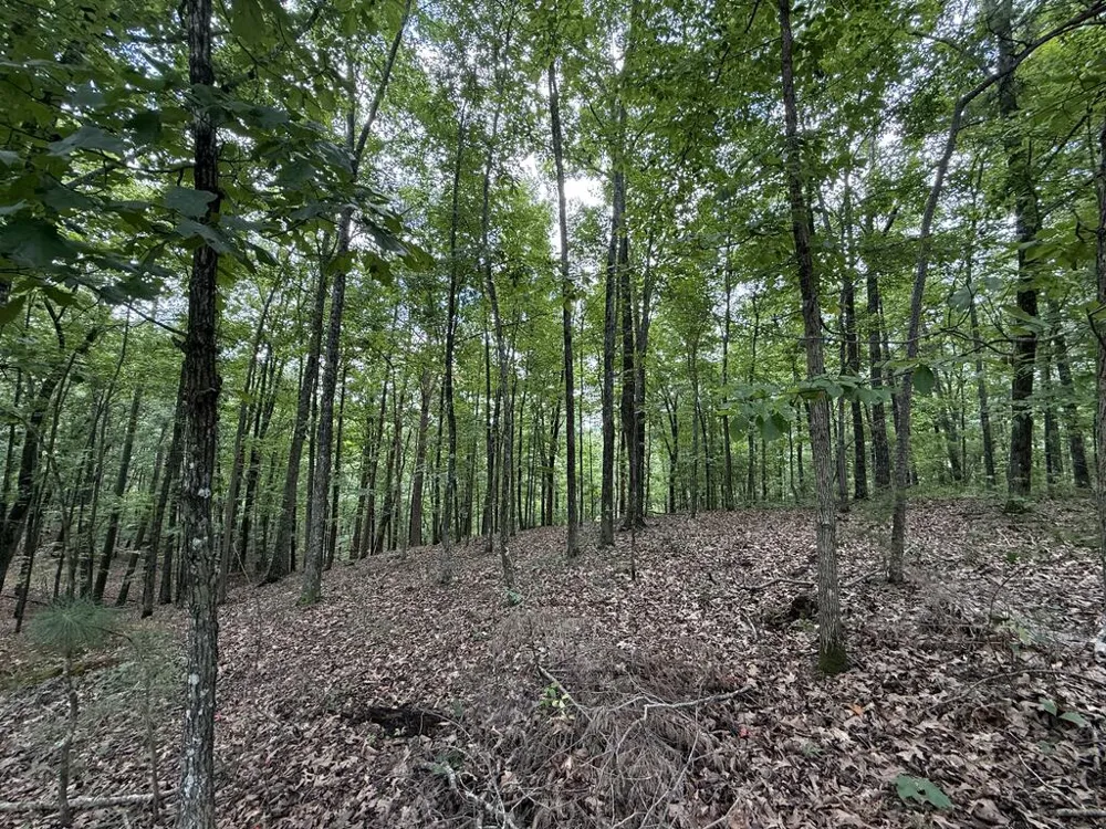 Lot 1065 Mayfield Lane Ranger, GA 30734