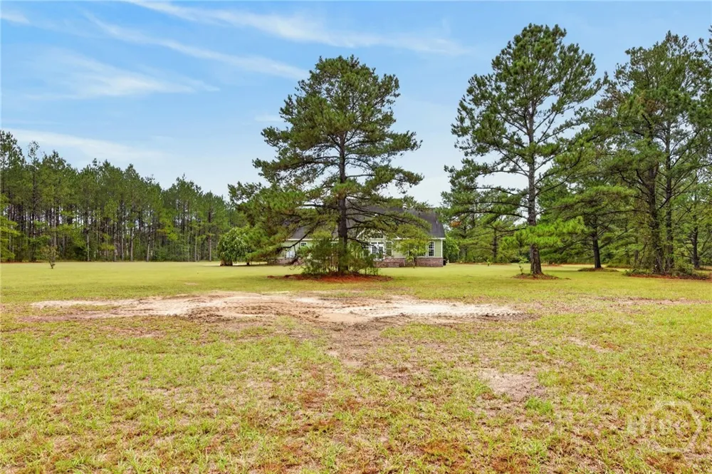 4016 Clyo Kildare Road Clyo, GA 31303