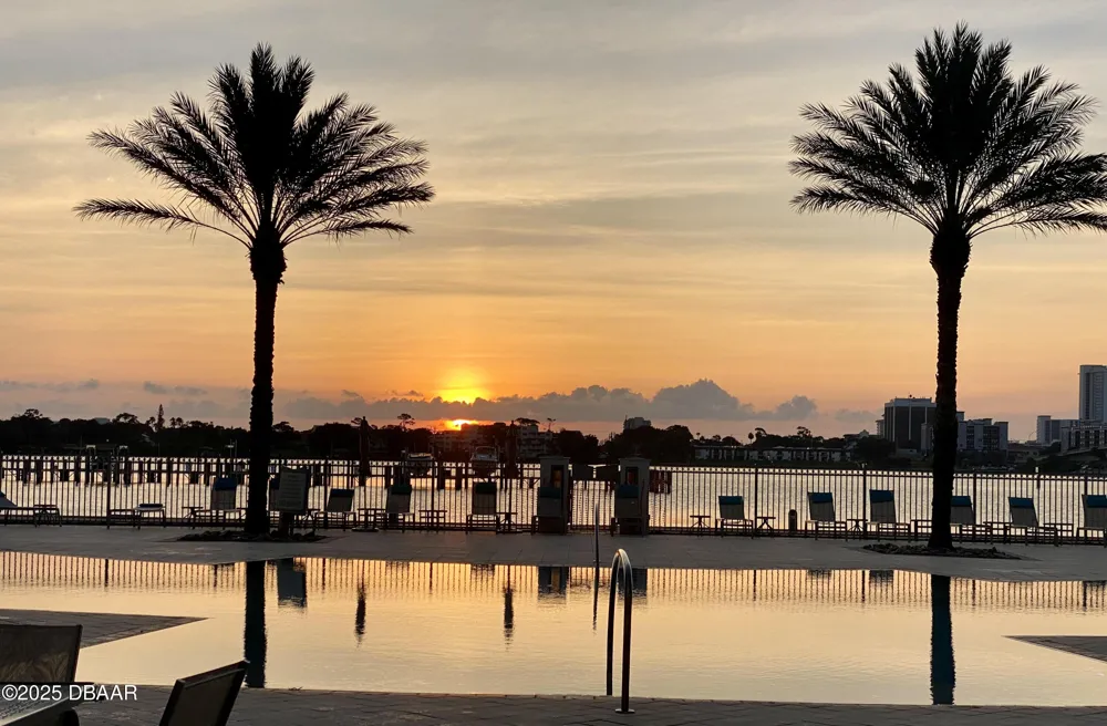 241 Riverside Drive #1203 Holly Hill, FL 32117