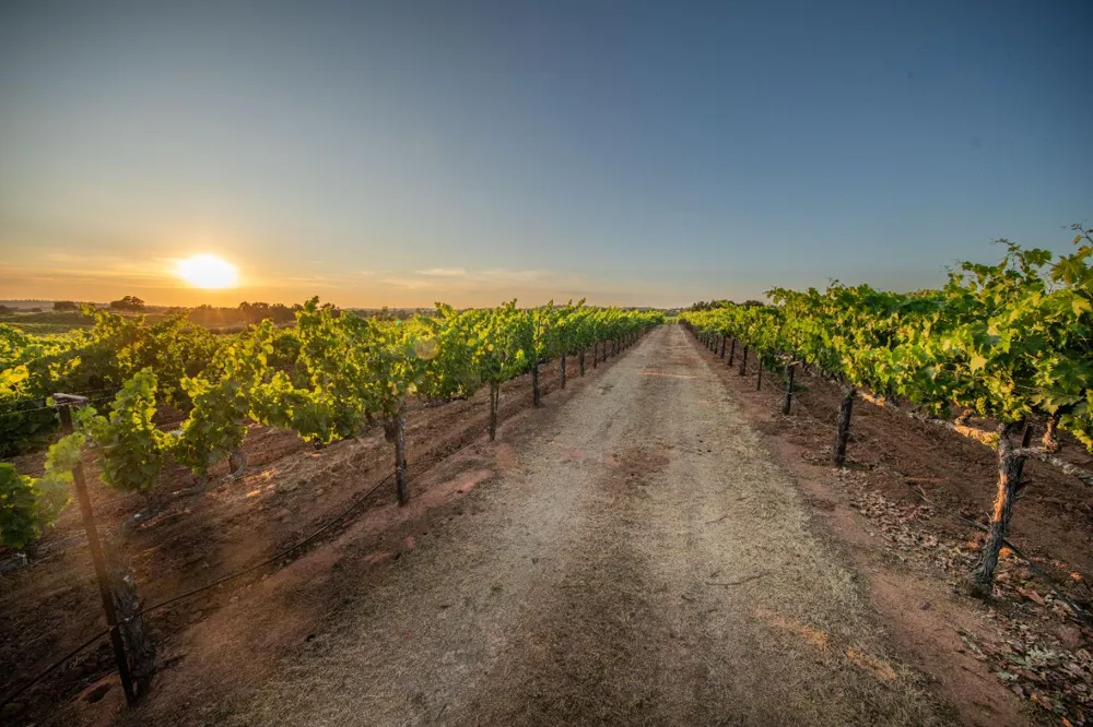 21215 Shenandoah School Road Plymouth, CA 95669