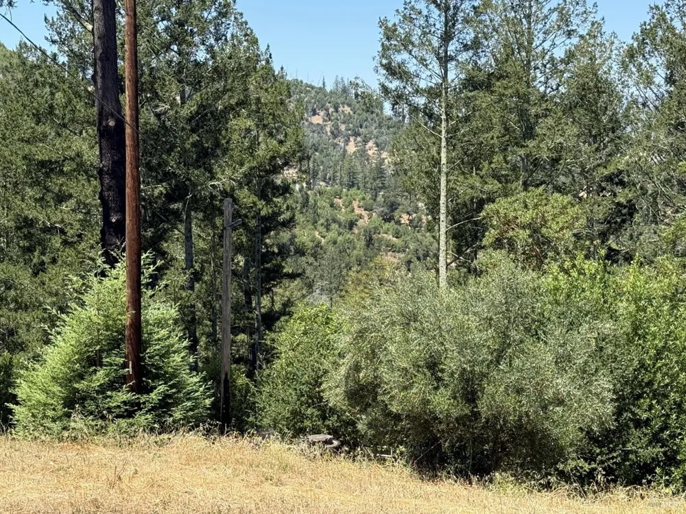 140 Petrified Forest Road Calistoga, CA 94515