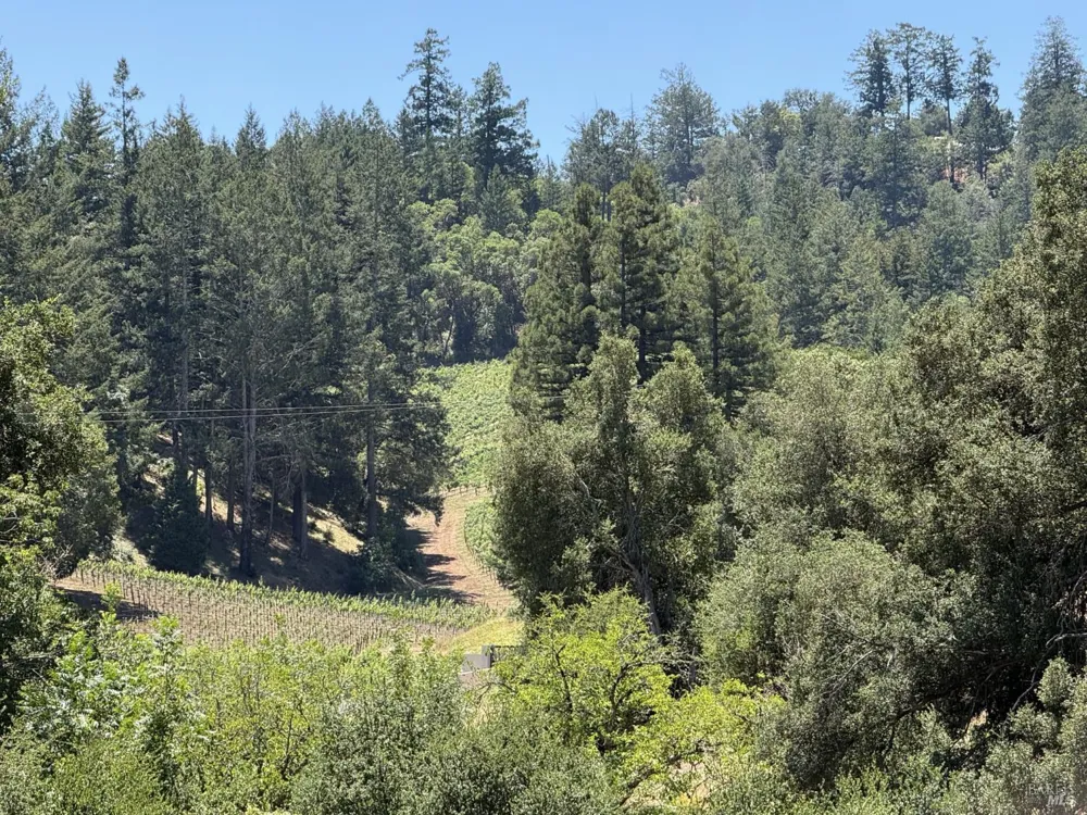 140 Petrified Forest Road Calistoga, CA 94515