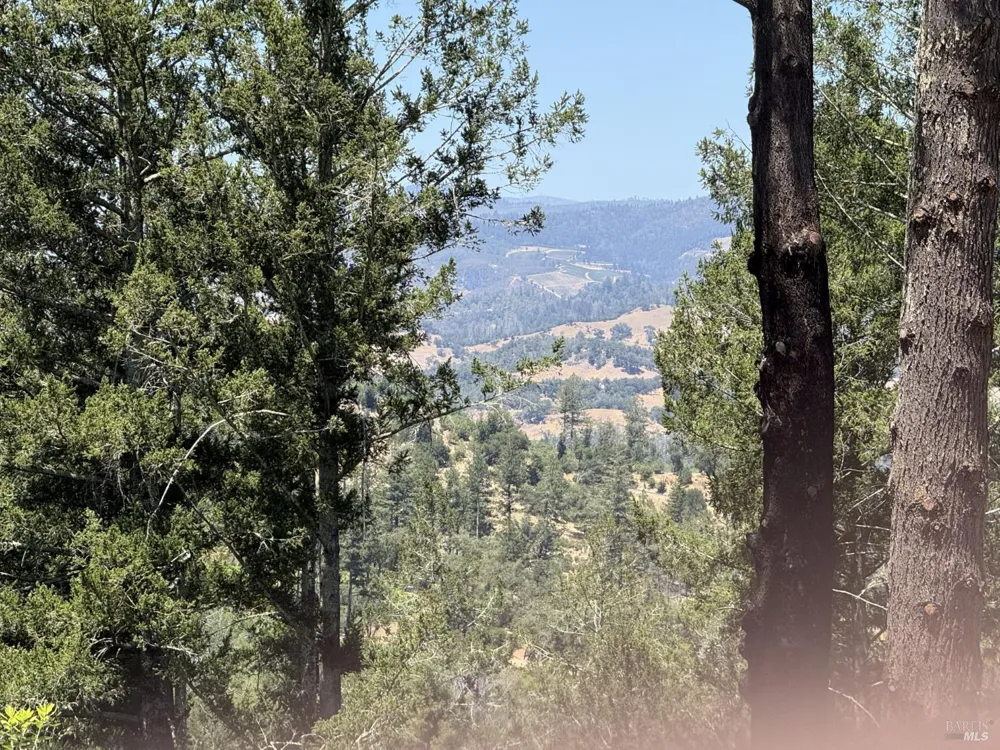 140 Petrified Forest Road Calistoga, CA 94515